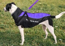 Taglory Dog Winter Coats, Waterproof Reflective Dog Coat size 3 (34-44lbs)Purple