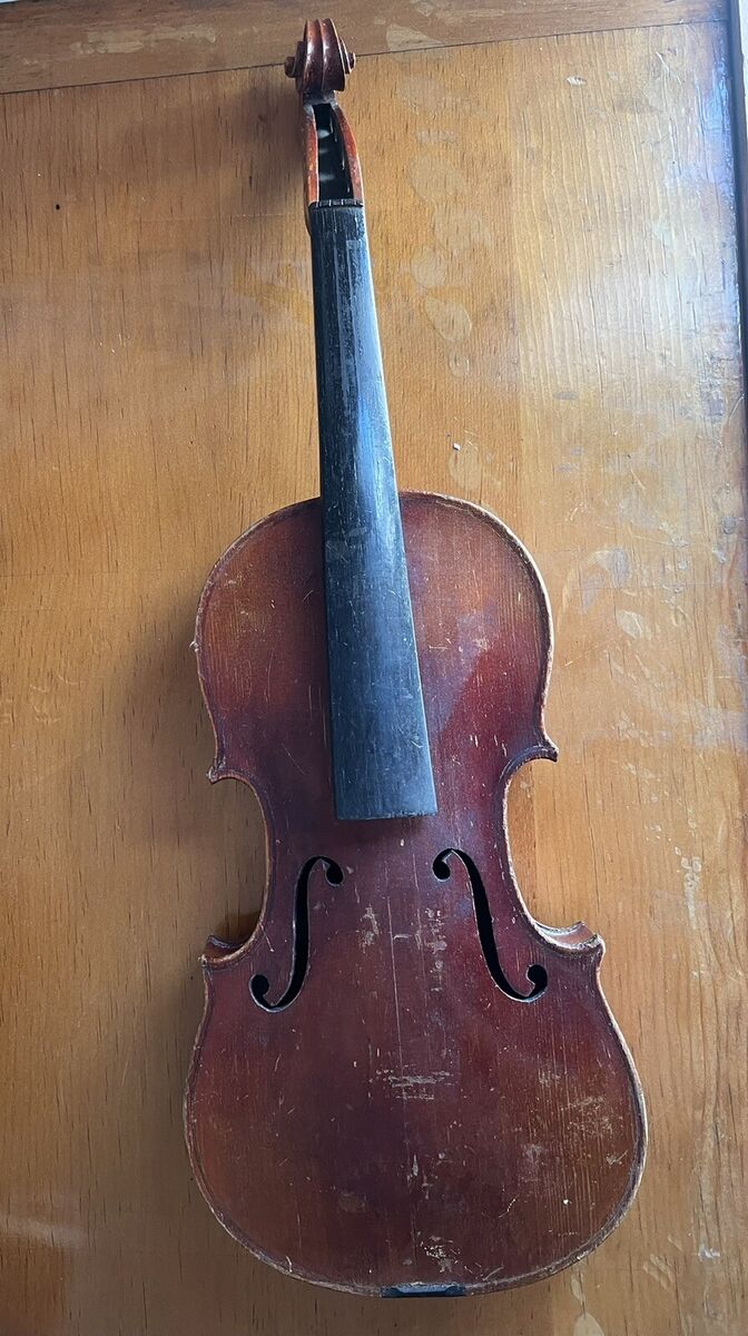 Violin: 