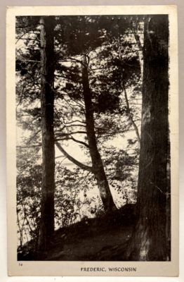 #ad #ad Trees by the Water Frederic Wisconsin WI Postcard $4.95