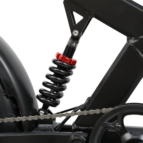 DUOTTS F20 Electric Bike 52V27Ah 1000W Peak 50km/h 20" All Terrain E-Bike E-MTB - Picture 15 of 19