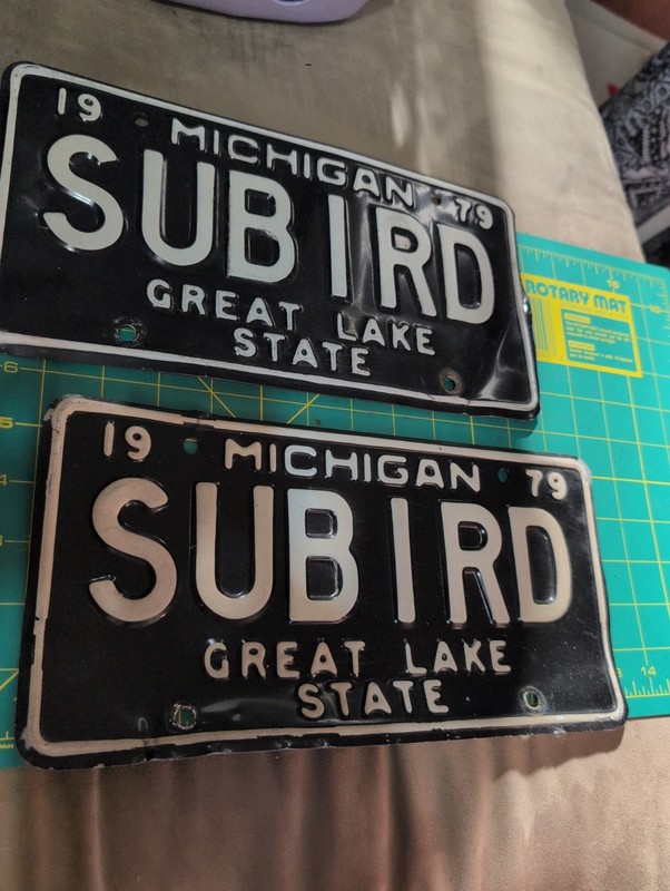 Vintage MICHIGAN License Plates 1979 Michigan License Plate Pair Vanity SUBIRD
