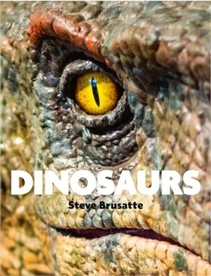 Dinosaurs by Quercus 9781529438390 NEW Free UK Delivery