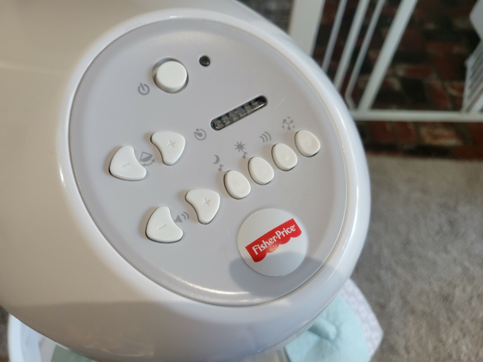 moonlight meadow swing