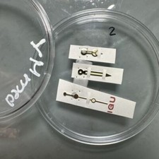 Rolex Hands Set Yacht Master Cream Tone 168623 168628 Mid Size Boy