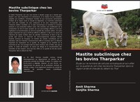 Mastite Subclinique Chez Les Bovins Tharparkar Amit Sharma (U. A.) Taschenbuch