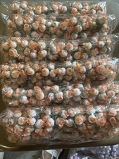 Peach Polyester Artificial Rose Flower Bundle