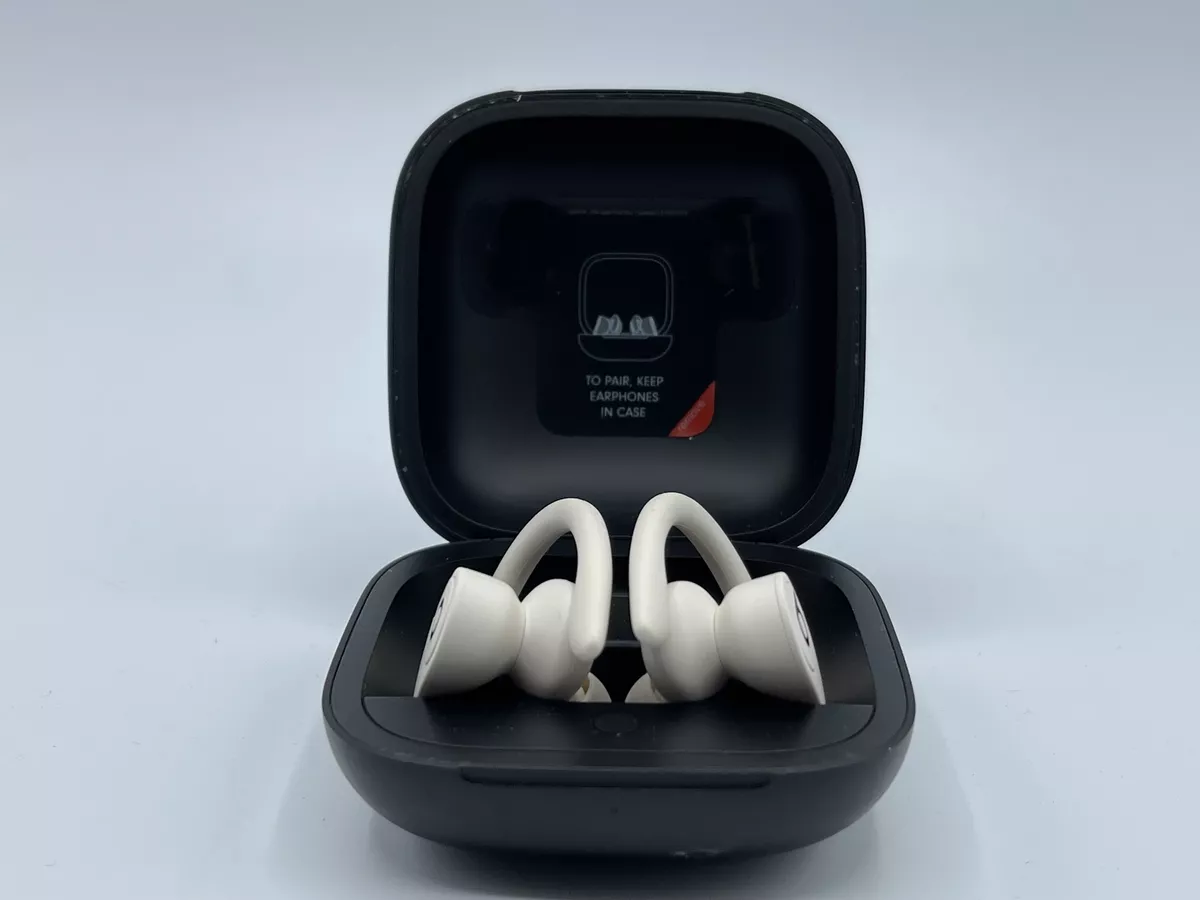 Beats by Dr. Dre Powerbeats Pro A2078 Ear Hook Wireless Headphones