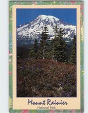 Postcard Mount Rainier National Park Washington USA