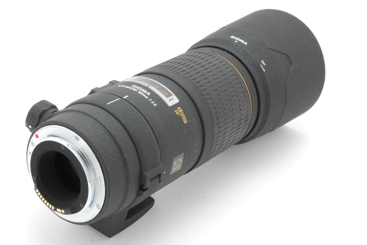 Top MINT] Sigma AF 180mm f/3.5 APO Macro EX DG HSM EOS canon From