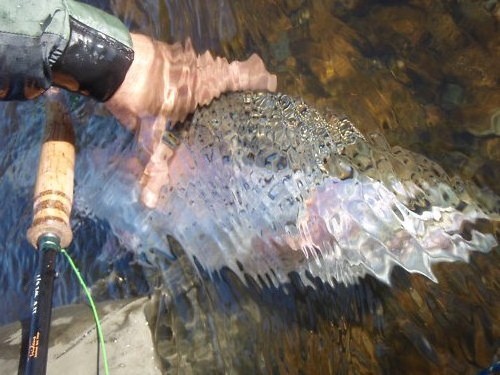 Irideus Fly Fishing Biggs Floating Minnow flies Pond Smelt tui Chub steelhead - Picture 2 of 5