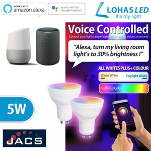 lohas led google home