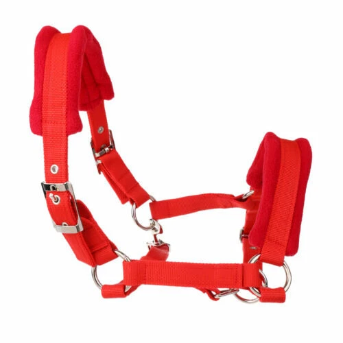 Reitsport-Reithalfter