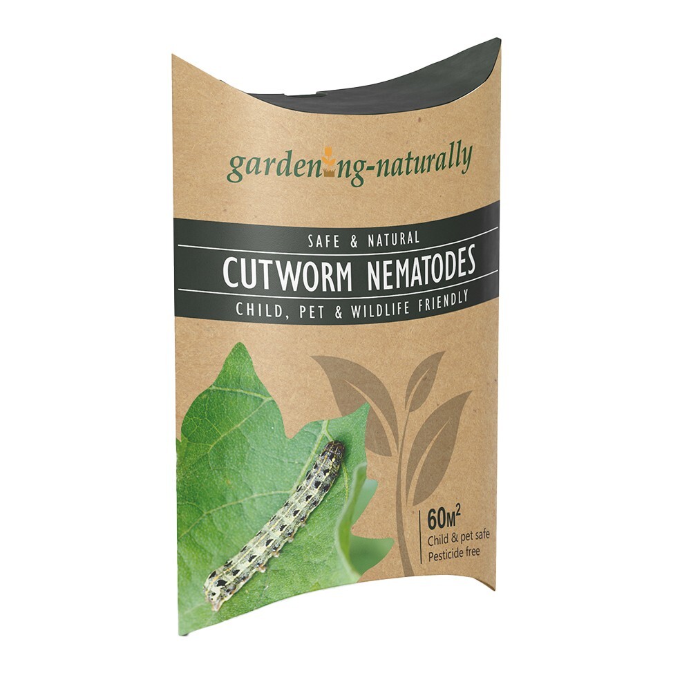 Cutworm Nematodes - Organic Pest Control Solution for 2 x 30sq.m Garden Coverage