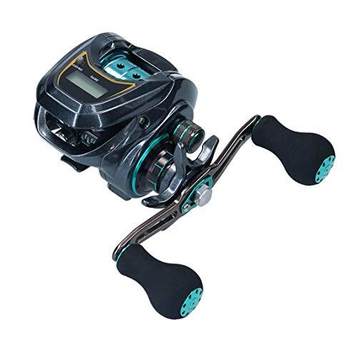 Daiwa 20 Light Sw X Ic L Ss Linkshänder Baitcast Rolle 00630029 Neu - Bild 1 von 5