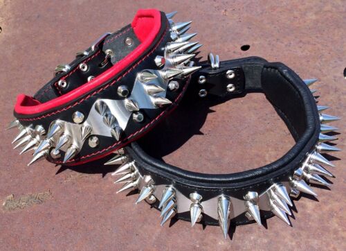 BESTIA spiked leather collar with stainless steel decoration. 2.5 inch wide! - Picture 1 of 10