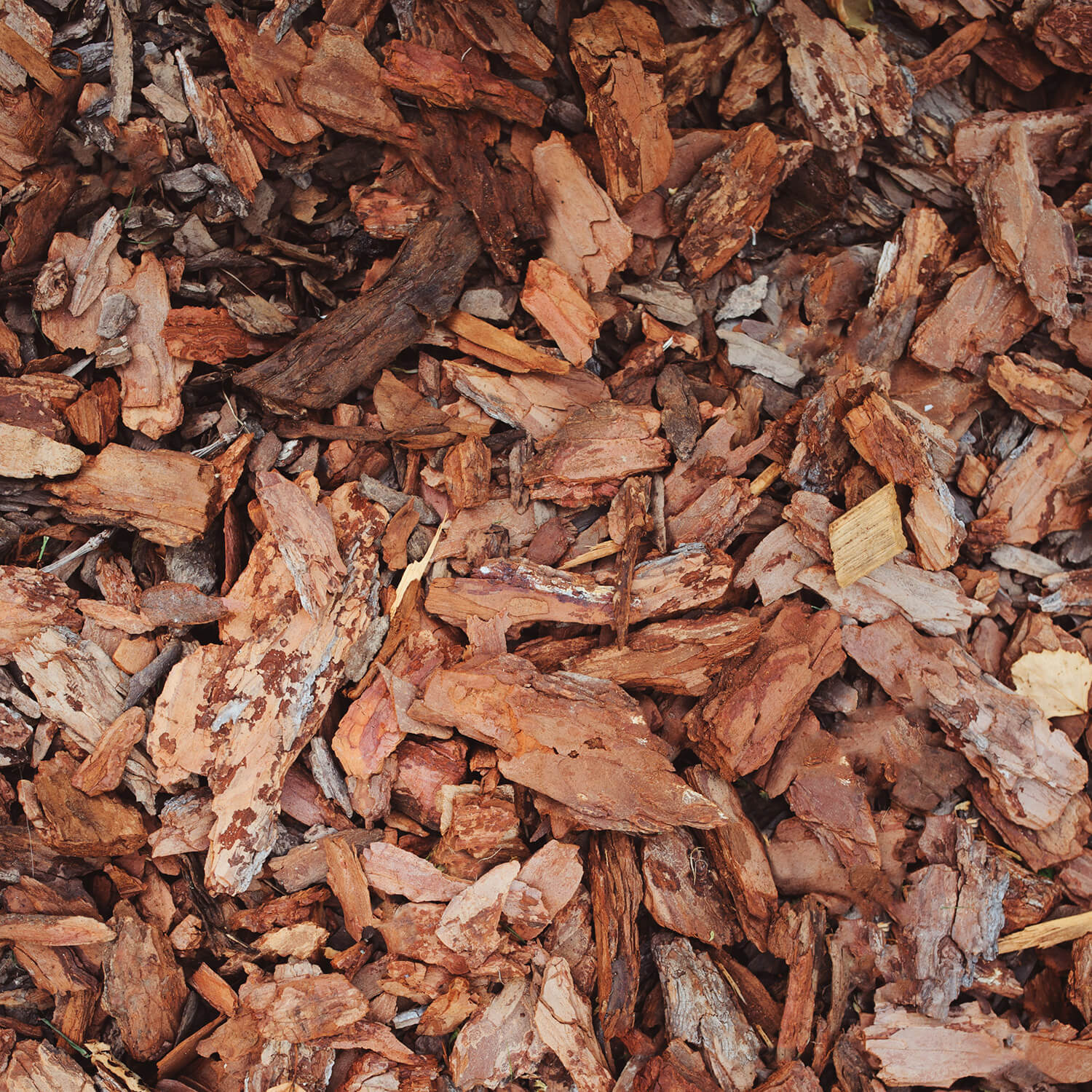 Rindenmulch Mulch Dekor Kiefer Rinde Fein Mittel Mix Grob Deko 60l Sack