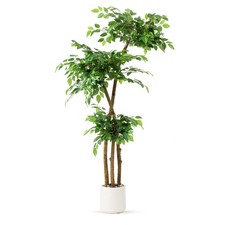 SIYEGIFT Artificial Ficus Tree 5FT White Planter with Moss and Pebbles