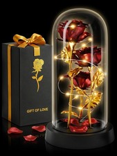 Rose in Glass Dome with LED Lights in Gift Box for Mom Grandma, Birthday Gifts f