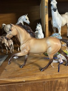 Breyer Traditional Starlight Flash mold The Saddle Club buckskin horse