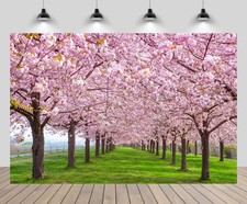 7x5ft Cherry Park Backdrop Japan Spring Pink Flower Garden Path Photo Prop