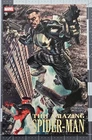 Amazing Spider-Man #19 (983) (Marvel 2026) Bermejo Amazing Visions Variant NM