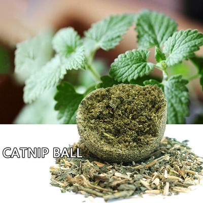 10 Stück Katzensnack Katzenminze Ball lecken Ernährungsball Hilfe Verdauung BEST
