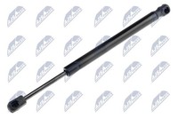 Nty Gasfeder, Koffer-/Laderaum AE-CT-015 FüR CitroËN