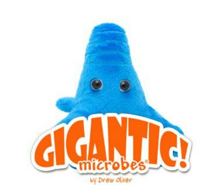 giant microbes amoeba