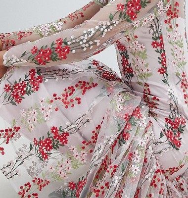 asos embroidered maxi dress
