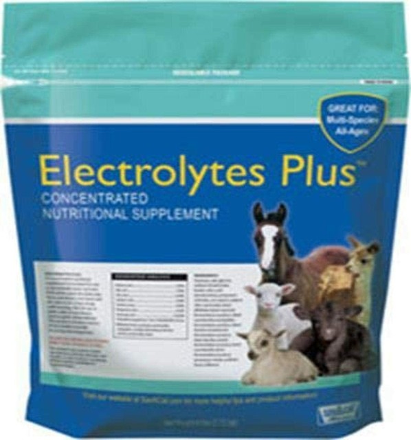Milk Electrolytes Plus Multispecies Supplement 6 LB 616368408282 for