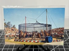 Training Wild Circus Animals Lions Tigers Sarasota Florida FL Vintage Postcard
