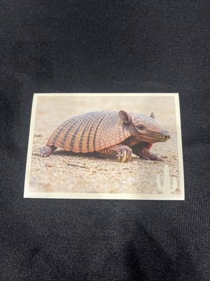 Noi Animali L unione Fa La Forza! Panini Excellent Figure No.65