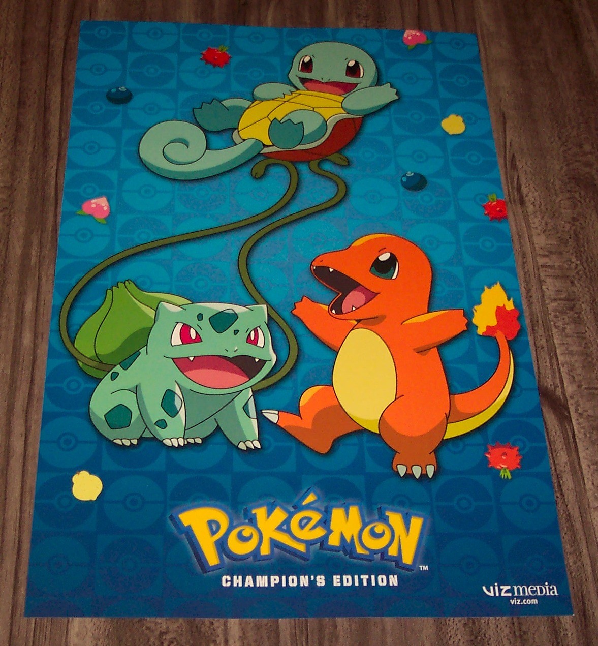 POKEMON CHARMANDER SQUIRLTE BLASTOISE NYCC Comic Con PÓSTER PROMOCIONAL EXCLUSIVO