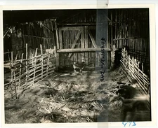Vintage 8x10 Rare Production Photo King of the Jungle (1933 film) Buster Crabbe