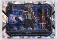2023 Panini Prizm WWE Ice Prizm Bushwhacker Butch Butch #78 12yg