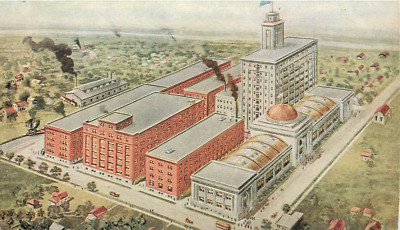 Winona Mn J. R. Watkins Medical Company Fortgeschritten Postkarte