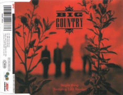 Big Country Featuring Eddi Reader - Fragile Thing (CD) (Very Good Plus (VG+)) -
