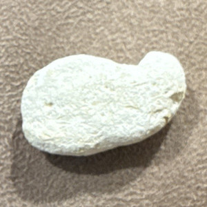 Fudgie The Whale The Rock Carvel Specimen 1/1 Collectible Display Piece