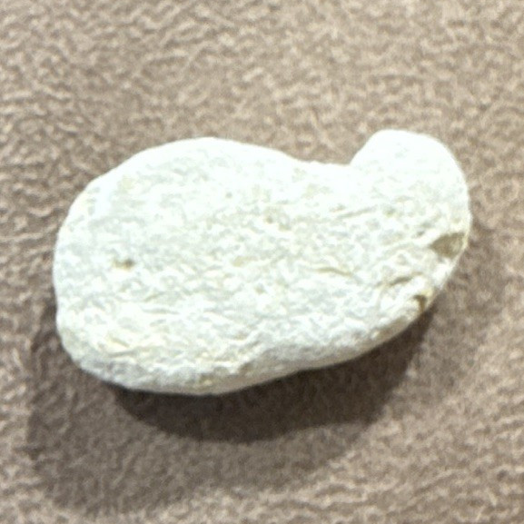 Fudgie The Whale The Rock Carvel Specimen 1/1 Collectible Display Piece