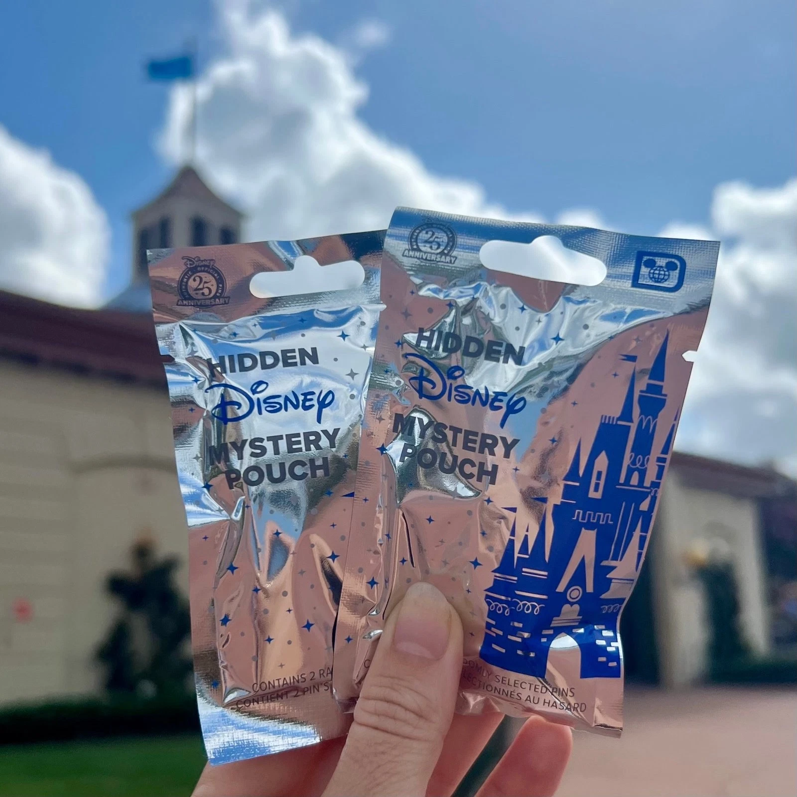 2025 Walt Disney World Wave A Hidden Mickey Mystery Pin Pouch Bag - SEALED!
