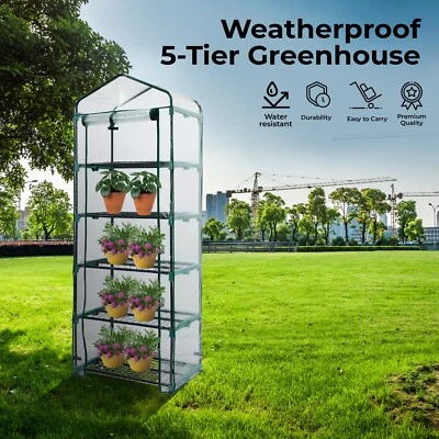 DEEJA FASHION 5-Tier Greenhouse, Tomato Greenhouse & Greenhouse Transparent Weather Resistant