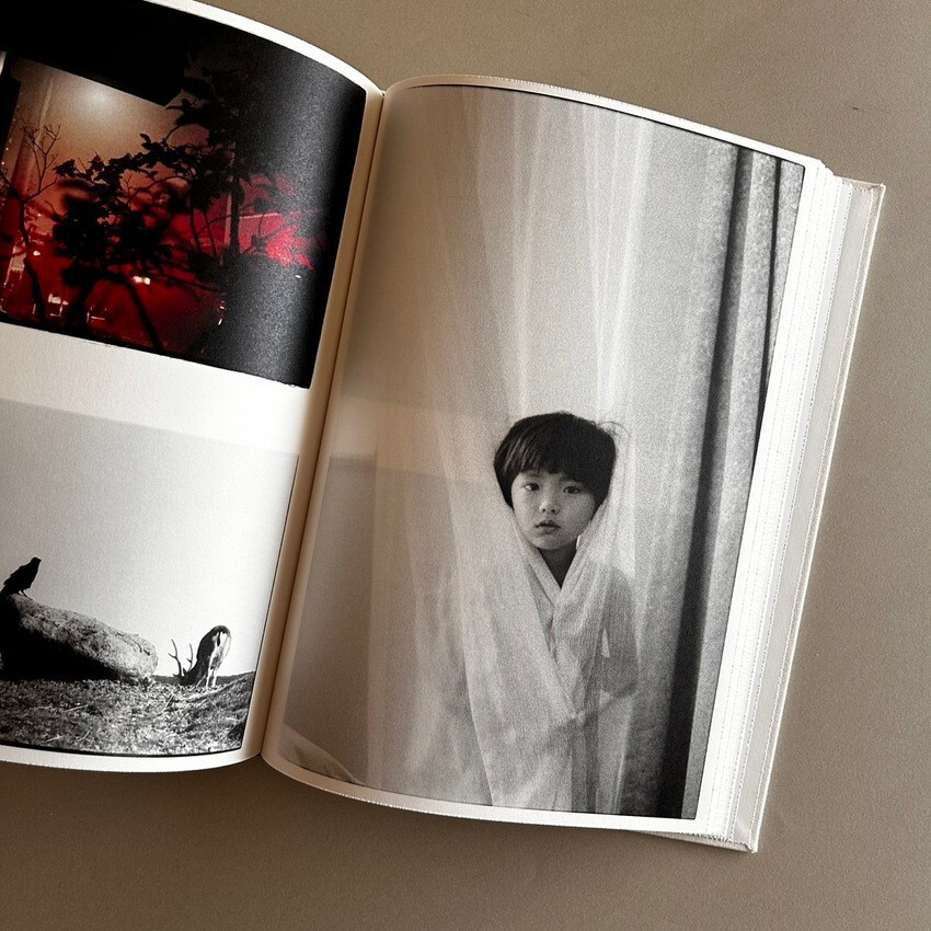 NUDE A ROOM FLOWERS Sakiko Nomura Photo Book 2012 Match and