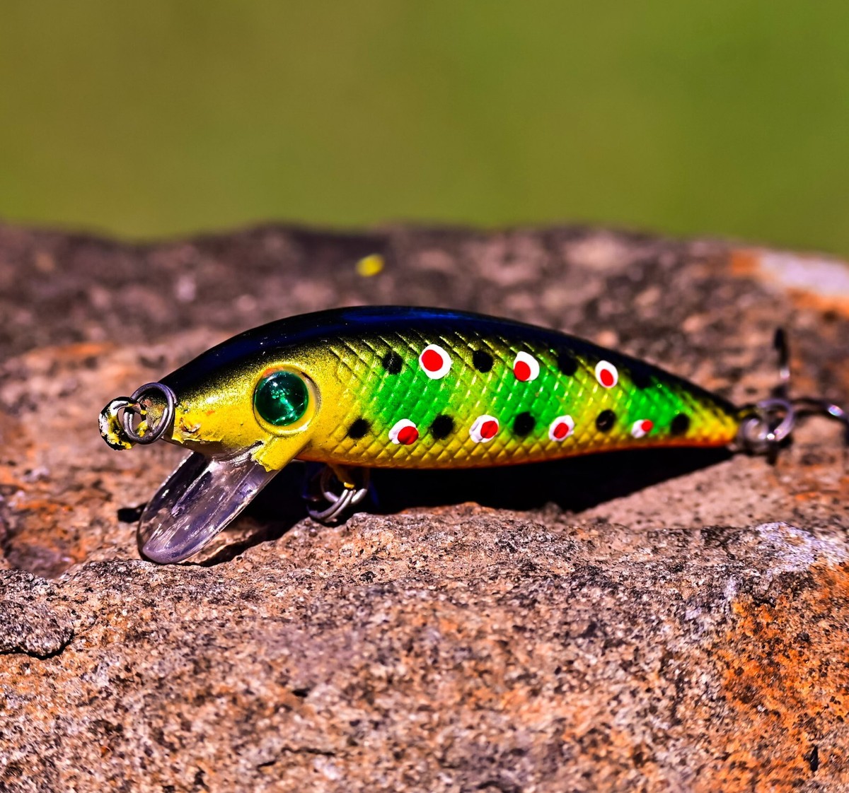 Bream Lures Whiting Redfin Tailor Yellowbelly Bass Perch Jacks