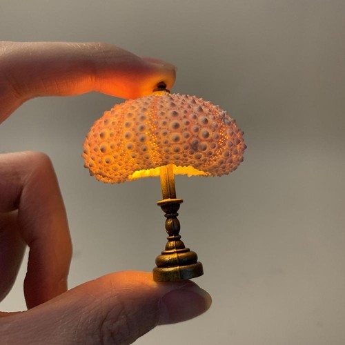 DIY Sea Urchin Night Light -Sea Urchin Shell Night Lamp AU - Picture 9 of 16
