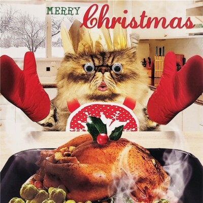 Weihnachtskarte Mit Wackelnden Augen – Katze Kocht Truthahn. 3D-Goggly-Eyes, 159x159 Mm