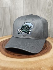 Tulane Green Wave Top Of The World Stretchfit Hat Cap Size OSFM NWT Gray