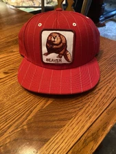 Goorin Brothers Dam Red Beaver Snapback Trucker Hat~ Pin Stripe Patch Fashion~