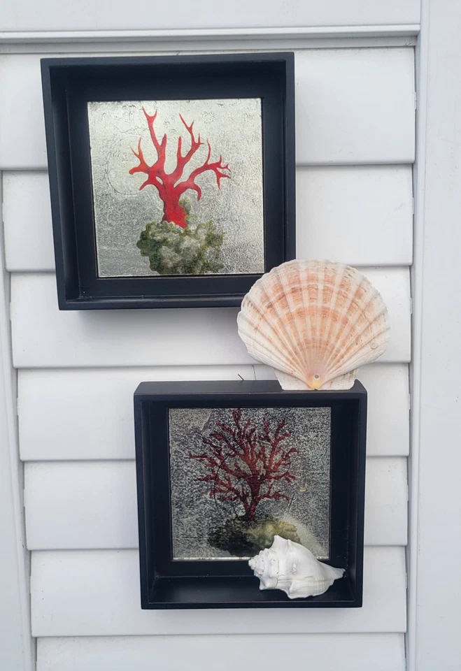 Coral Print, Mirror Effect Black Framed Shadow Boxes, Set of 2, Coastal Classy - Image 4 of 4