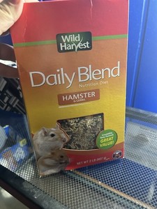Natural soft wood bedding, and daily natural blend food