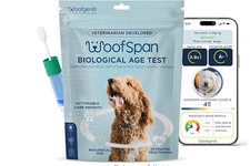 Dog DNA Test for Health Issues, Aging Rate, Longevity/Personalized Health Report
